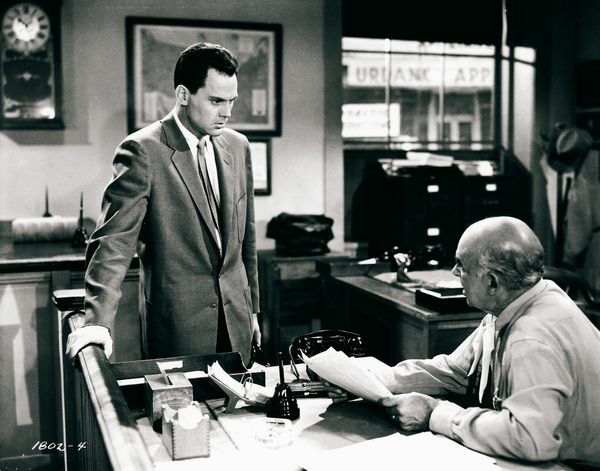 Produktbild: Tarantula