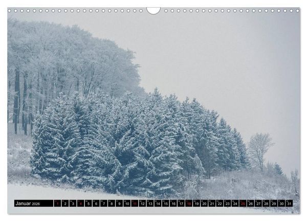 Produktbild: Arnsberger Wald (Wandkalender 2026 DIN A3 quer), CALVENDO Monatskalender