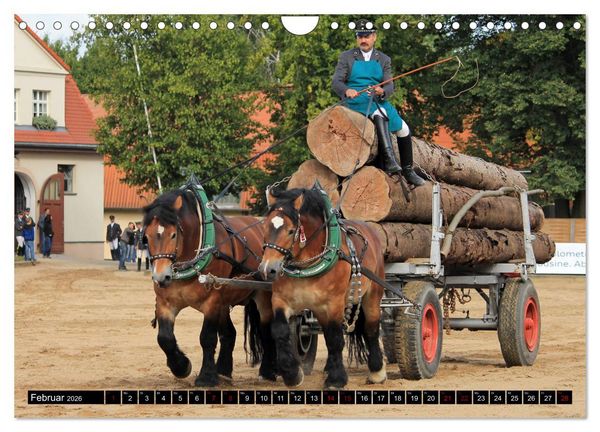 Produktbild: Schwere Pferde 2026 (Wandkalender 2026 DIN A4 quer), CALVENDO Monatskalender