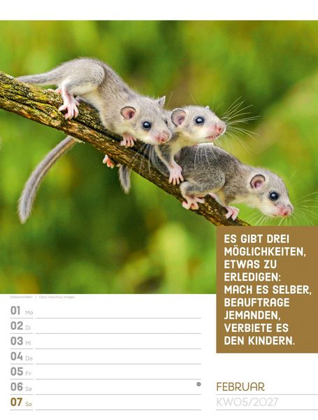 Produktbild: Tierisch Spr&uuml;chekalender Wochenplaner 2027
