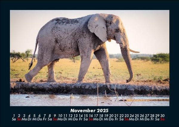 Produktbild: Der Elefantenkalender 2025 Fotokalender DIN A5