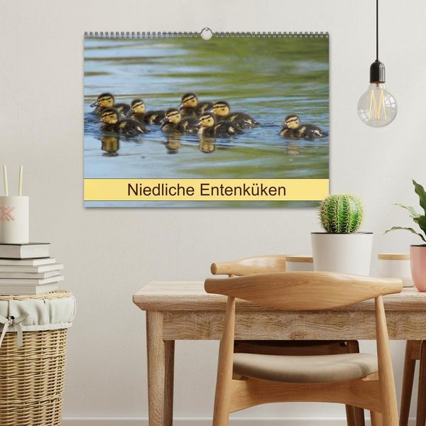 Produktbild: Niedliche Entenk&uuml;ken (Wandkalender 2026 DIN A3 quer), CALVENDO Monatskalender