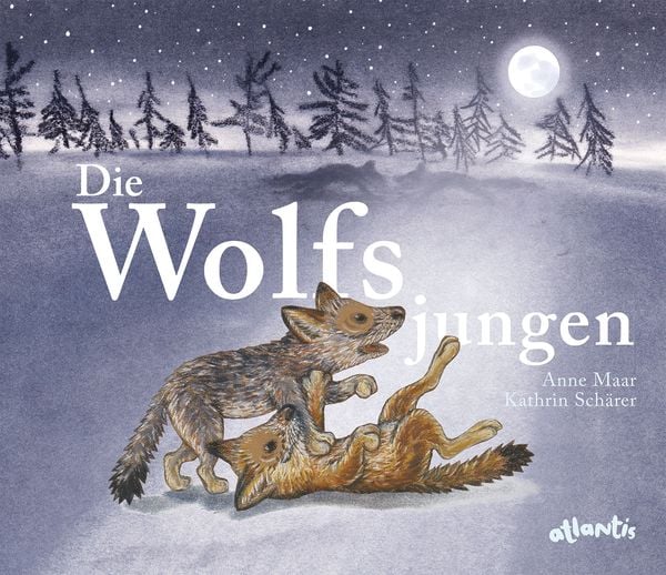 Die Wolfsjungen, Gebundene Ausgabe von Anne Maar, Atlantis Kinderbuch, 9783715208480