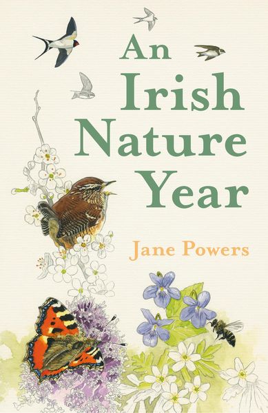 Produktbild: An Irish Nature Year
