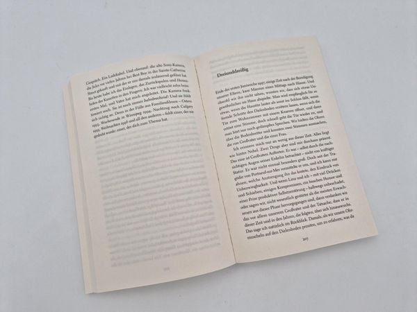 Produktbild: Frau im Mond