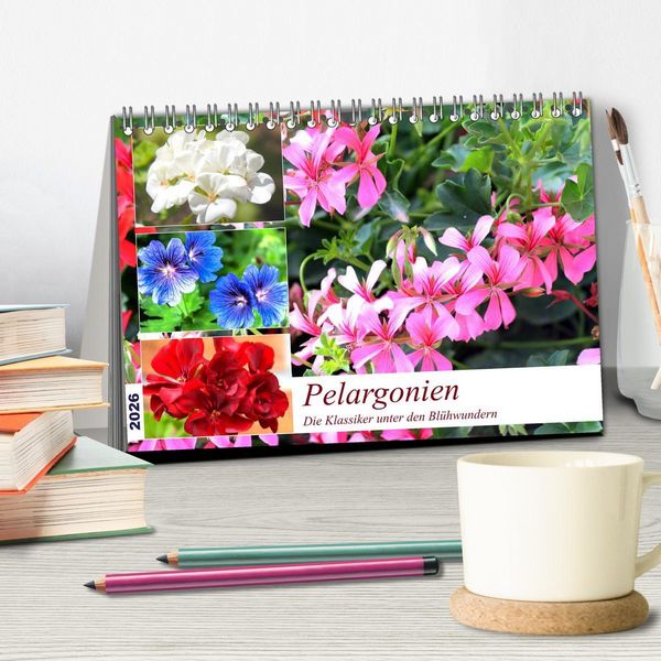 Produktbild: Pelargonien. Die Klassiker unter den Bl&uuml;hwundern (Tischkalender 2026 DIN A5 quer), CALVENDO Monatskalender