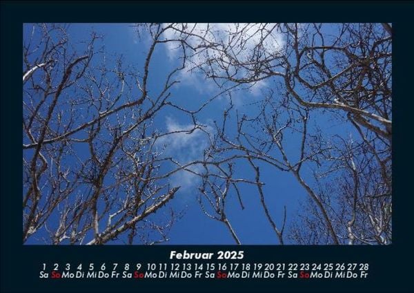 Produktbild: Bilder der Natur 2025 Fotokalender DIN A5