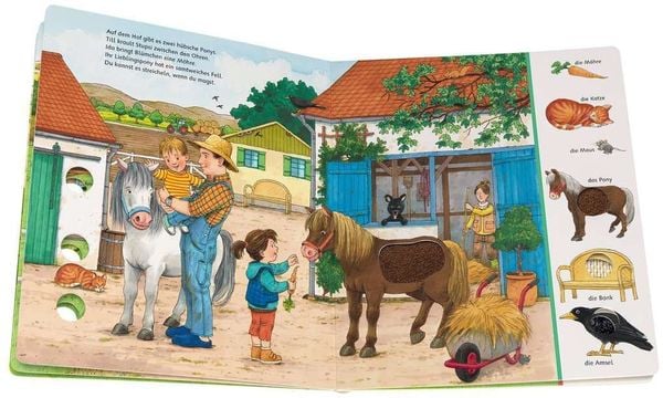 Produktbild: Sachen suchen, Sachen fühlen: Bauernhof