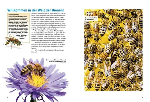 Produktbild: Entdecke die Bienen