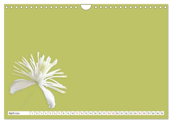 Produktbild: DIY POESIE - BASTELKALENDER (Wandkalender 2026 DIN A4 quer), CALVENDO Monatskalender