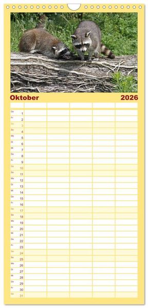 Produktbild: Familienplaner 2026 - Waschb&auml;ren mit 5 Spalten (Wandkalender, 21 x 45 cm) CALVENDO