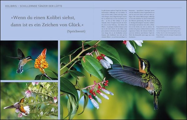 Produktbild: KUNTH Costa Rica. Das Buch