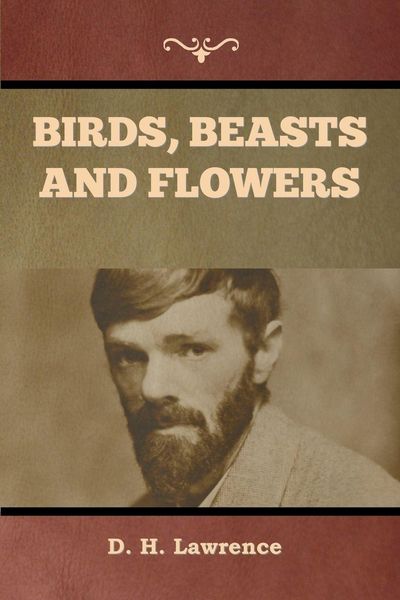 Produktbild: Birds, Beasts and Flowers