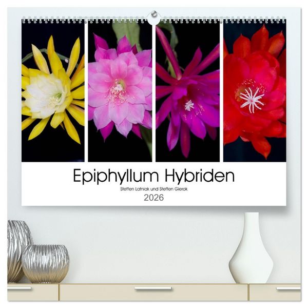 Epiphyllum-Hybriden (hochwertiger Premium Wandkalender 2026 DIN A2 quer), Kunstdruck in Hochglanz