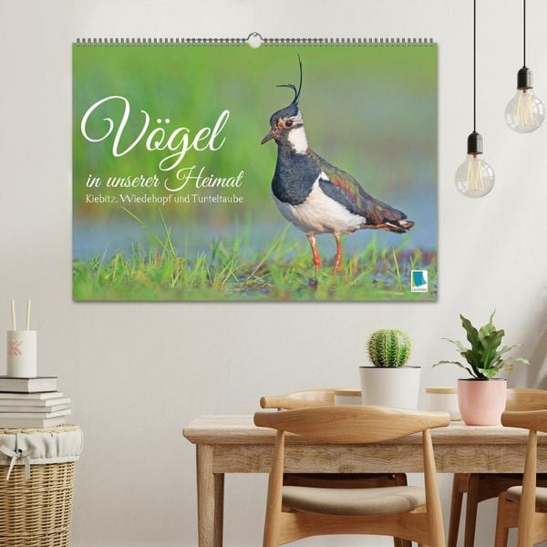 Produktbild: V&ouml;gel in unserer Heimat: Kiebitz, Wiedehopf und Turteltaube (Wandkalender 2026 DIN A2 quer), CALVENDO Monatskalender