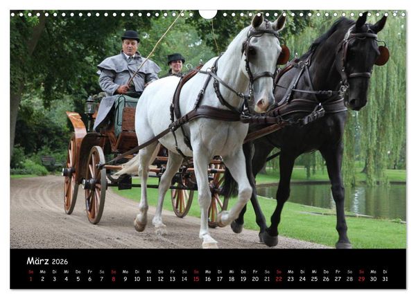 Produktbild: CIAT - Historischer Fahrsport in Celle (Wandkalender 2026 DIN A3 quer), CALVENDO Monatskalender