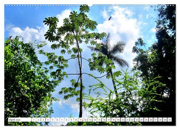 Produktbild: Naturjuwel Soroa - Ein St&uuml;ck vom Paradies auf Kuba (Wandkalender 2026 DIN A2 quer), CALVENDO Monatskalender