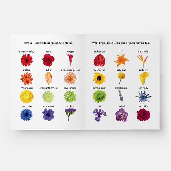 Produktbild: Rainbows in Bloom