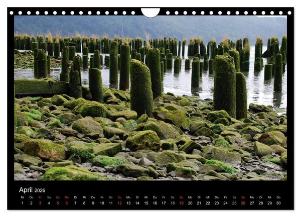 Produktbild: USA - Nordwesten (Wandkalender 2026 DIN A4 quer), CALVENDO Monatskalender
