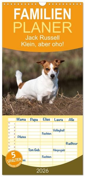 Familienplaner 2026 - Jack Russell - Klein, aber oho! mit 5 Spalten (Wandkalender, 21 x 45 cm) CALVENDO