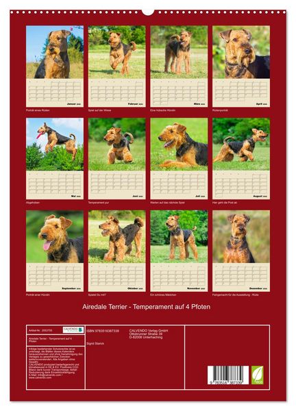 Produktbild: Airedale Terrier - Temperament auf 4 Pfoten (hochwertiger Premium Wandkalender 2026 DIN A2 hoch), Kunstdruck in Hochglanz
