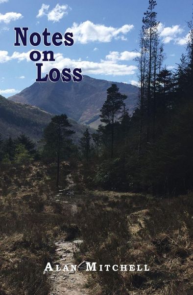 Produktbild: Notes on Loss