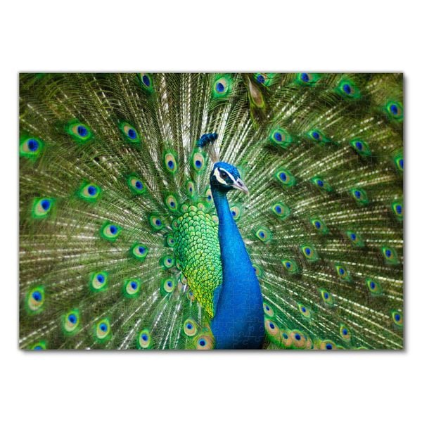 Produktbild: Lais Puzzle Pfau 500 Teile