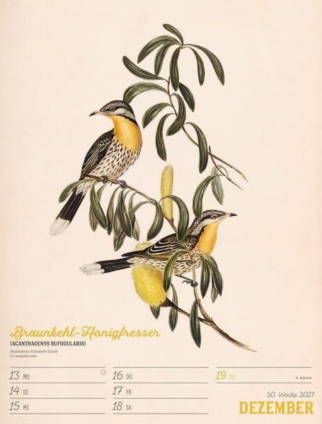 Produktbild: Wunderbare Vogelwelt Wochenplaner Kalender 2027