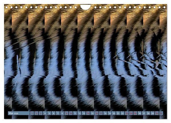 Produktbild: Magische Bilder - fantastische Stereogramme (Wandkalender 2026 DIN A4 quer), CALVENDO Monatskalender