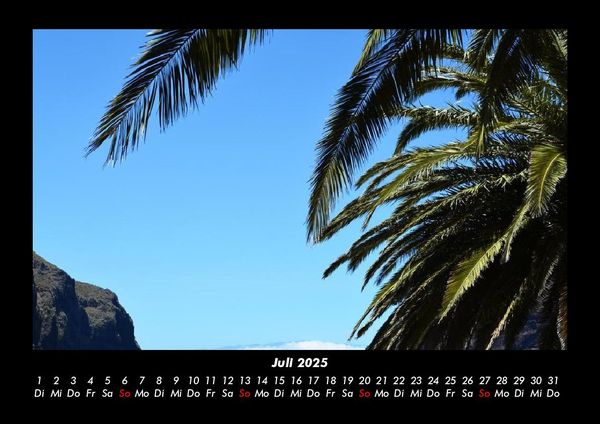 Produktbild: Palmentraum 2025 Fotokalender DIN A3
