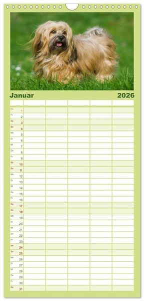 Produktbild: Familienplaner 2026 - Havaneser - Herz auf 4 Pfoten mit 5 Spalten (Wandkalender, 21 x 45 cm) CALVENDO
