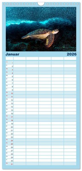 Produktbild: Familienplaner 2026 - Schildkr&ouml;ten des Ozeans mit 5 Spalten (Wandkalender, 21 x 45 cm) CALVENDO