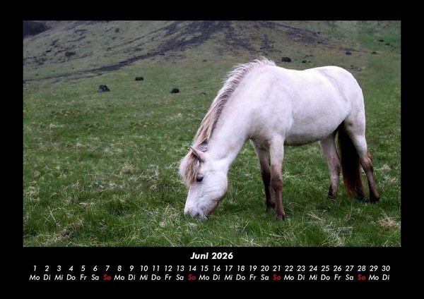 Produktbild: Pferdetraum 2026 Fotokalender DIN A3