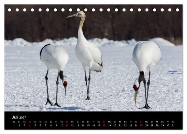 Produktbild: Mandschurenkraniche (Tischkalender 2027 DIN A5 quer), CALVENDO Monatskalender