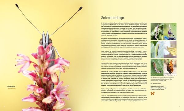Produktbild: Mein Artenretter Garten
