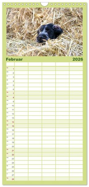 Produktbild: Familienplaner 2026 - Der Hundewelpen-Geburtstagskalender mit 5 Spalten (Wandkalender, 21 x 45 cm) CALVENDO