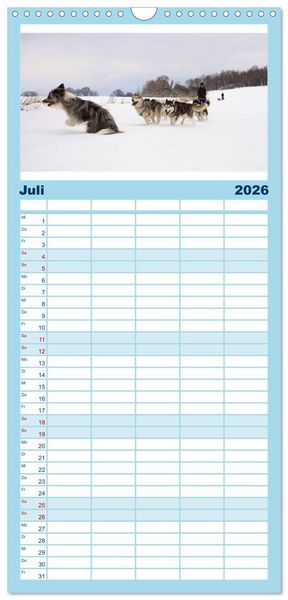 Produktbild: Familienplaner 2026 - Huskies! mit 5 Spalten (Wandkalender, 21 x 45 cm) CALVENDO