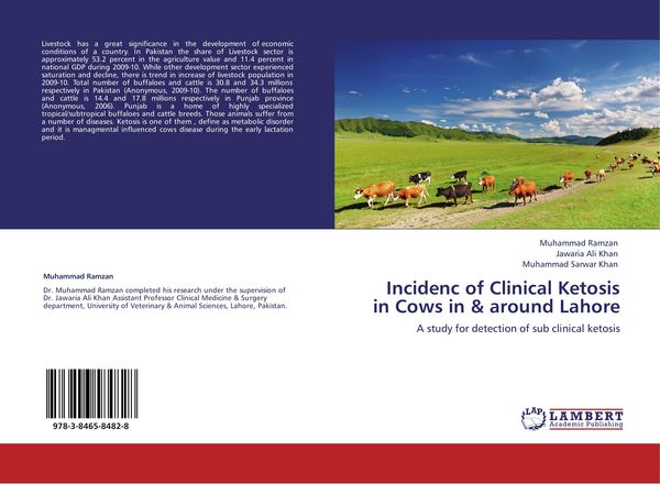 Produktbild: Incidenc of Clinical Ketosis in Cows in & around Lahore