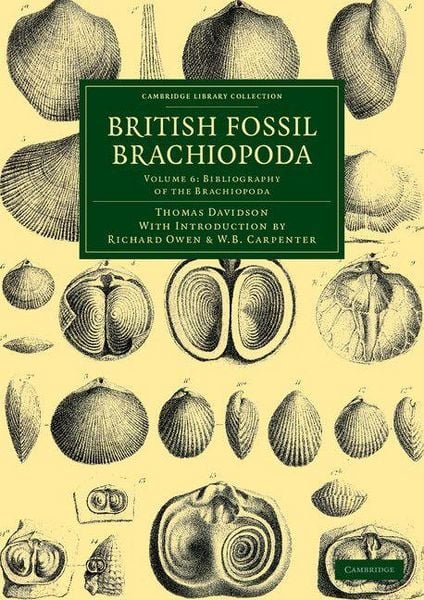 Produktbild: British Fossil Brachiopoda