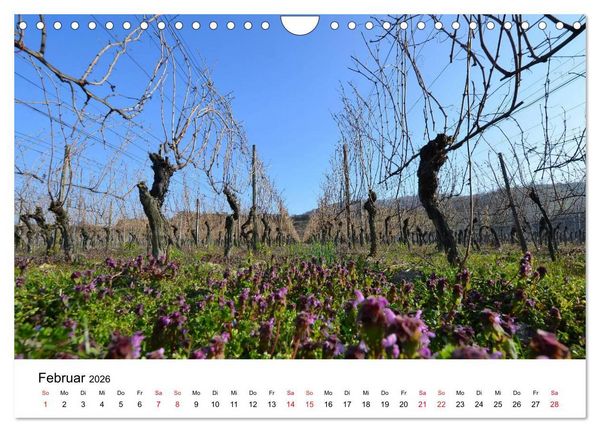 Produktbild: Impressionen vom Kaiserstuhl (Wandkalender 2026 DIN A4 quer), CALVENDO Monatskalender