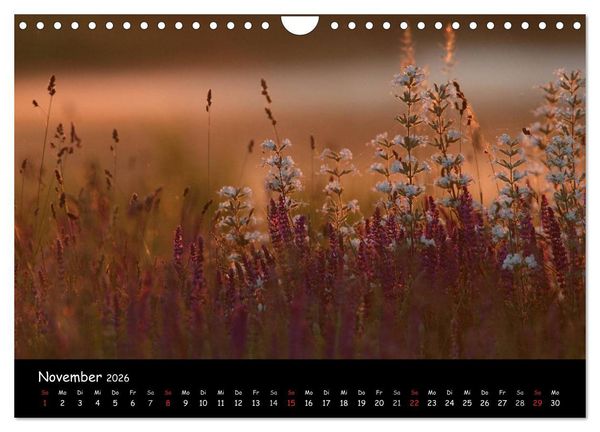 Produktbild: Naturjuwelen - Neusiedler See (Wandkalender 2026 DIN A4 quer), CALVENDO Monatskalender
