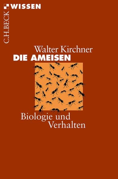 Produktbild: Die Ameisen