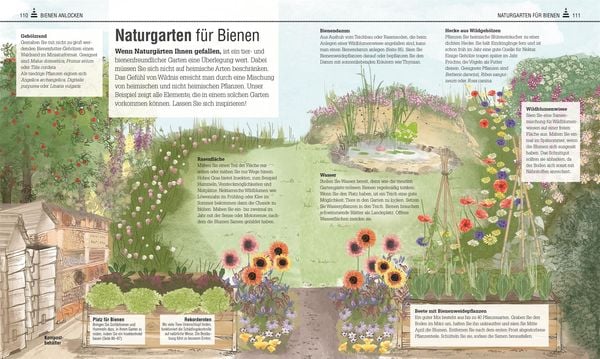 Produktbild: Das Bienen Buch