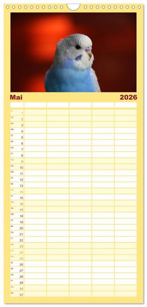 Produktbild: Familienplaner 2026 - Wellensittichkalender! - Das Original mit 5 Spalten (Wandkalender, 21 x 45 cm) CALVENDO
