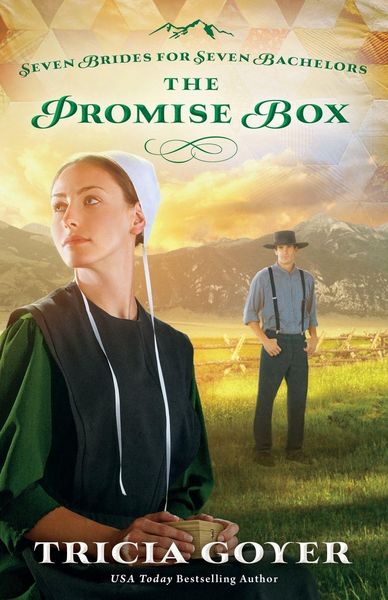 Produktbild: The Promise Box