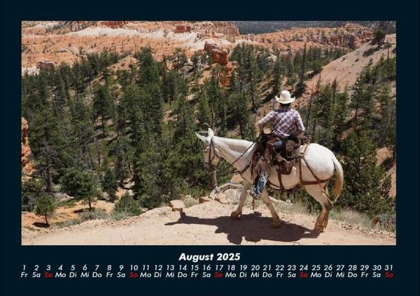 Produktbild: Welt der Pferde 2025 Fotokalender DIN A4
