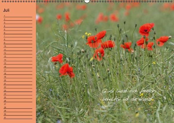 Produktbild: Blumengartenjahr - Geburtstagskalender mit sch&ouml;nen Zitaten (Wandkalender immerw&auml;hrend DIN A2 quer)
