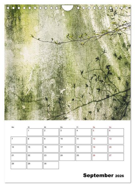 Produktbild: Mauerbl&uuml;mchen - Poesie im Allt&auml;glichen als Monatsplaner (Wandkalender 2026 DIN A4 hoch), CALVENDO Monatskalender