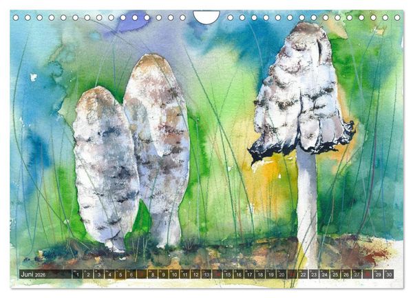Produktbild: Pilze in Aquarell (Wandkalender 2026 DIN A4 quer), CALVENDO Monatskalender