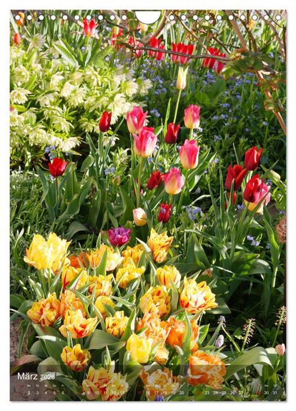 Produktbild: Ferien im Garten (Wandkalender 2026 DIN A4 hoch), CALVENDO Monatskalender